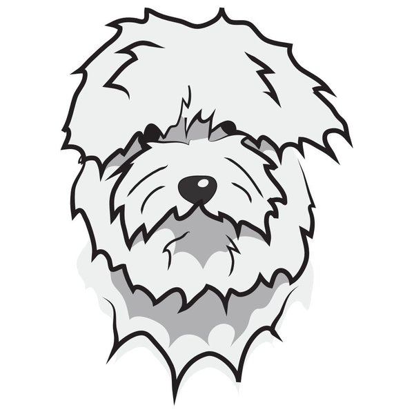 Signmission Coton De Tulear Dog Decal, Dog Lover Decor Vinyl Sticker D-12-Coton De Tulear